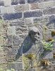 PICTURES/Prague - Boat Tour On Vltava River/t_Stone Face3.jpg